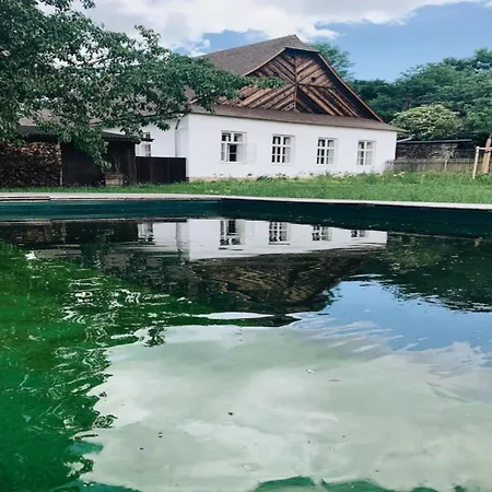 In Near Zlamanec Park